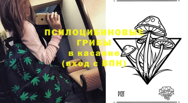 мдпв Армянск