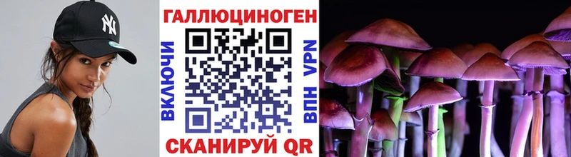 купить   ОМГ ОМГ зеркало  Галлюциногенные грибы мухоморы  Курганинск 