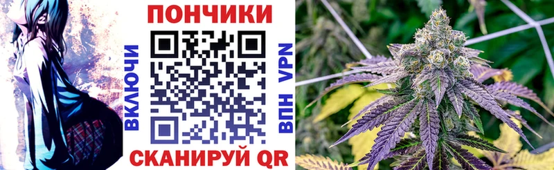 OMG ссылка  Курганинск  площадка наркотические препараты  МАРИХУАНА сатива 